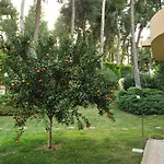 Villa The Sani Jewels, Anna With Pool