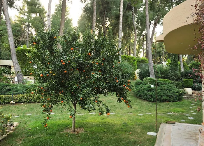 Villa The Sani Jewels, Anna
